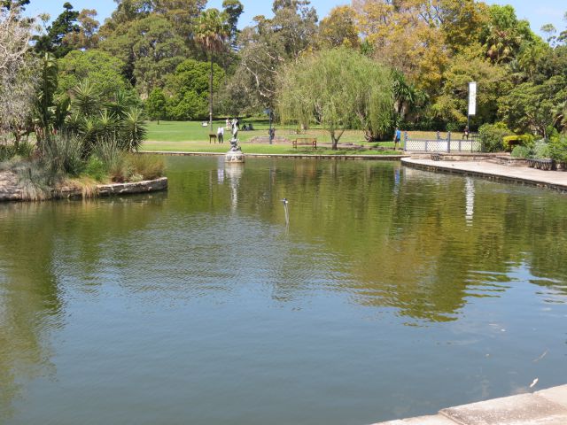 Sydney garden