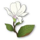 MAGNOLIA 94716