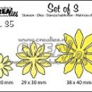 CLSet 35