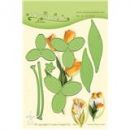 Tulipani