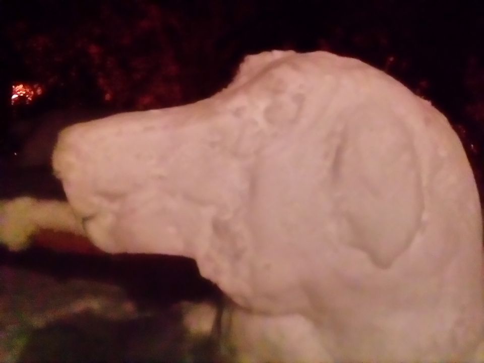 snowdog