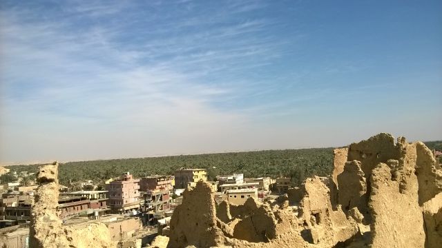 Siwa izbor - foto