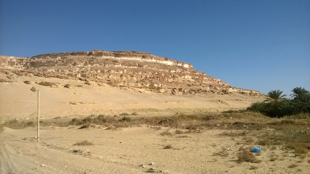 Siwa izbor - foto