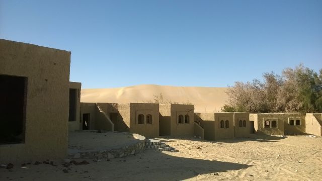 Siwa izbor - foto