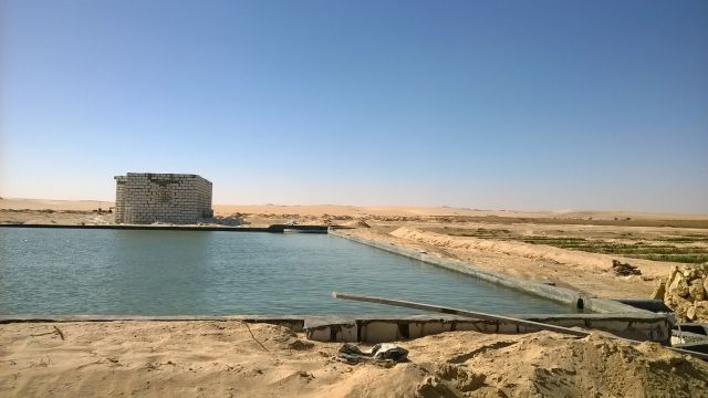 Siwa izbor - foto