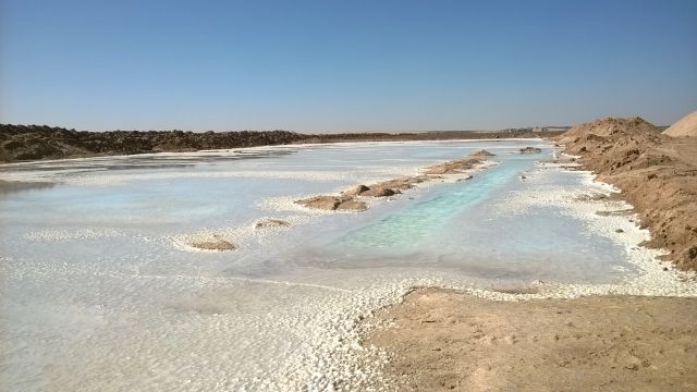 Siwa izbor - foto