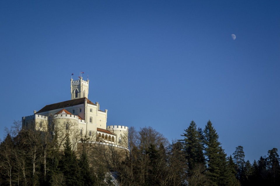 2017-01-07_Trakošćan - foto povečava