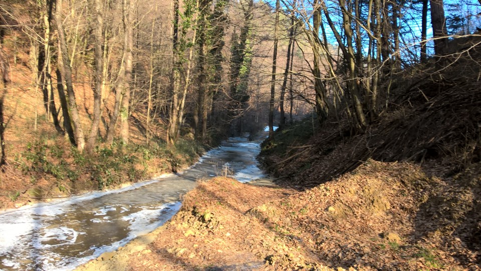 Poldani - foto povečava