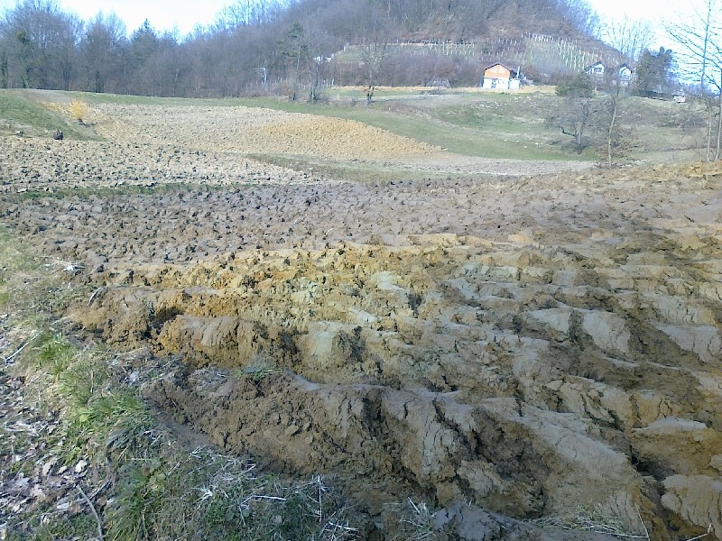 Oranje - foto povečava