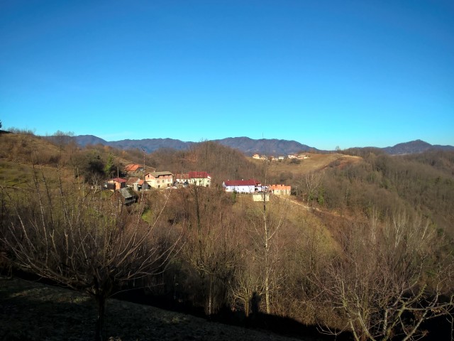 WP_20170205_10_02_47_Pro 37347101346