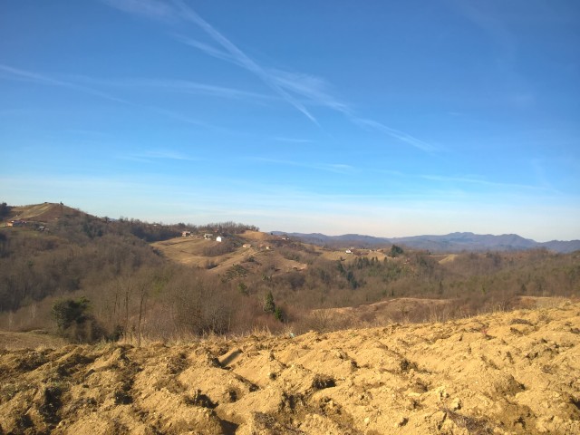 WP_20170226_10_34_31_Pro 36946135084