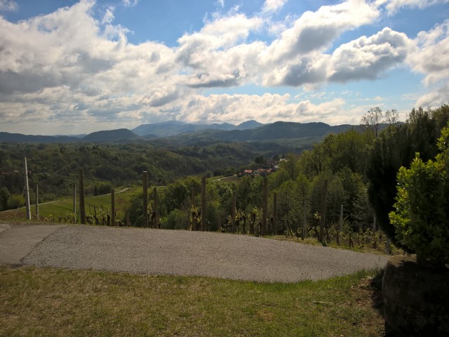 WP_20170423_10_41_23_Pro 37627158832