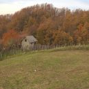 WP_20171112_09_54_31_Pro 24493067798
