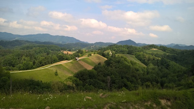 WP_20180520_11_27_24_Pro 41679373744