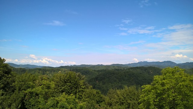 WP_20180624_09_18_57_Pro 42093911555