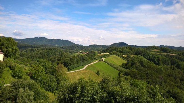 WP_20180624_09_28_08_Pro 42093911915