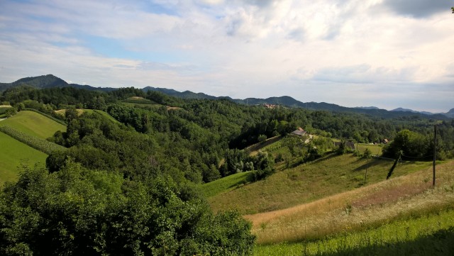 WP_20180624_09_28_25_Pro 42995412431