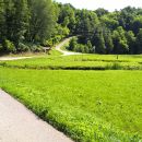 WP_20180624_09_53_16_Pro 42995412541