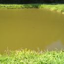 WP_20180624_09_55_13_Pro 42995413091
