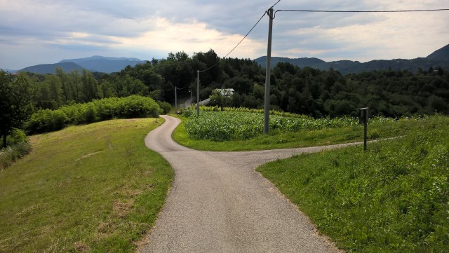 WP_20180624_10_14_32_Pro 42093913225