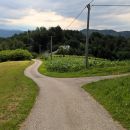 WP_20180624_10_14_32_Pro 42093913225