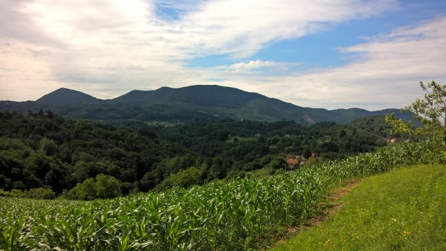 WP_20180624_10_15_00_Pro 42995413561