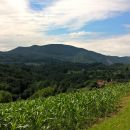 WP_20180624_10_15_00_Pro 42995413561