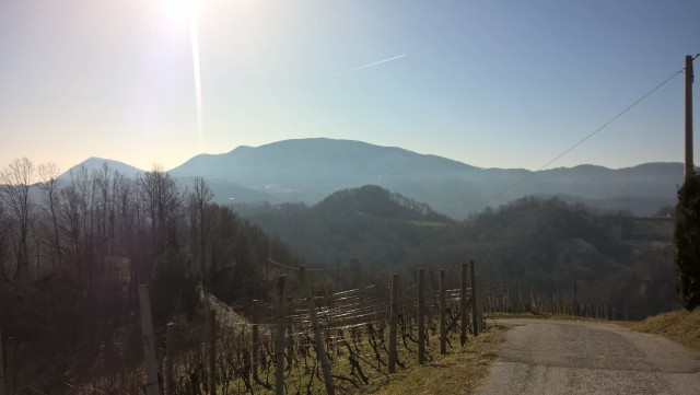 WP_20190217_10_40_53_Pro