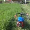 slika002 35612580333