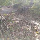 IMG_20201021_143140