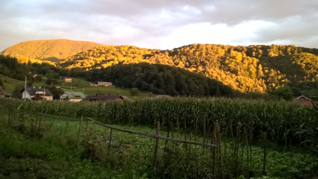 WP_20160822_19_33_23_Pro 37096331996
