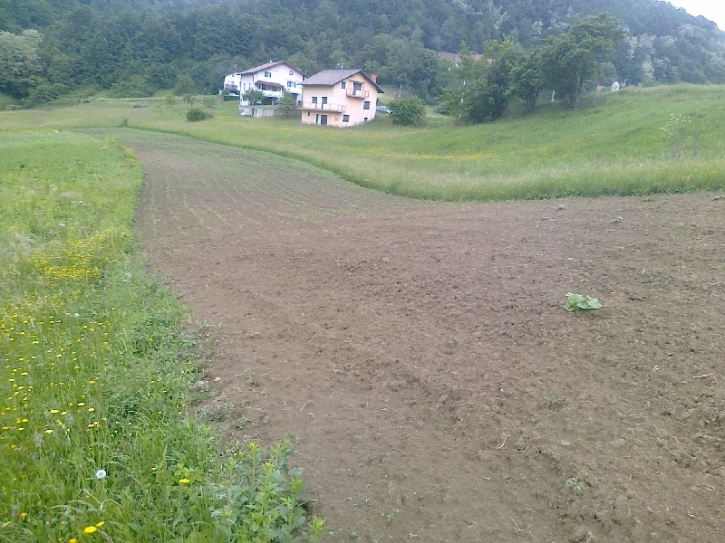 20150517-27 35739434373