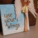 Use your wings 15€