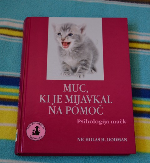 Slika