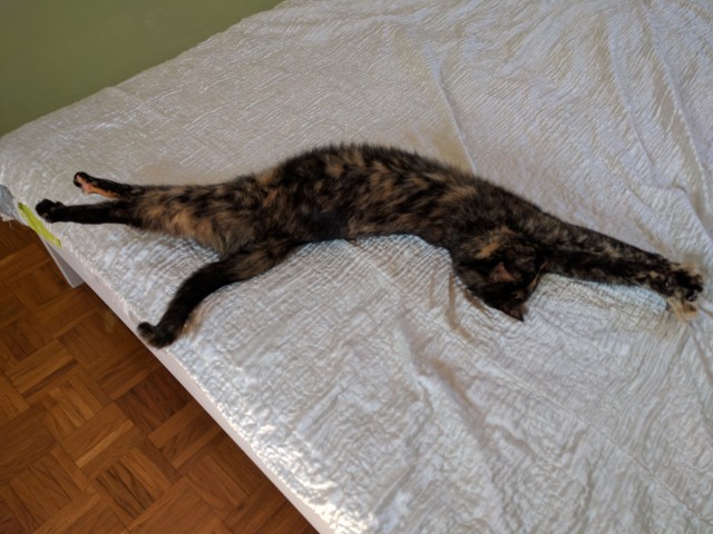 Slika