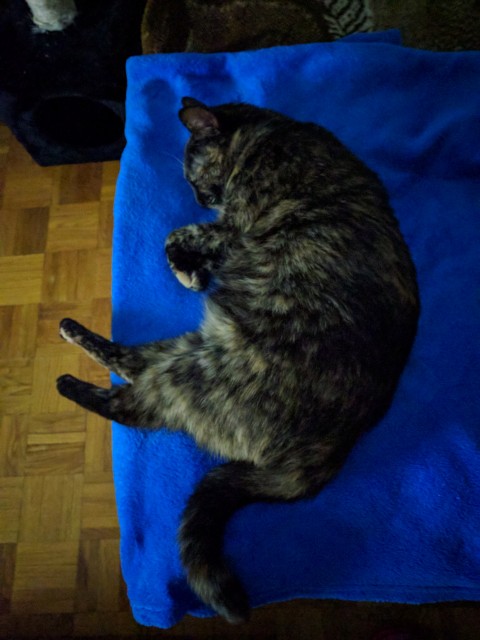 Slika