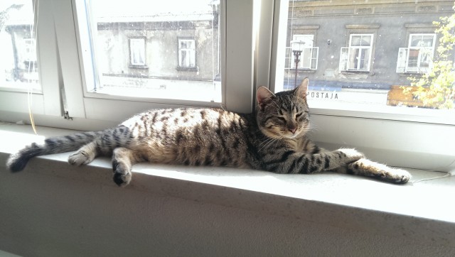 Slika