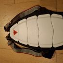 dainese ščitnik za hrbet-želva vel S 146-164 - 20 eur