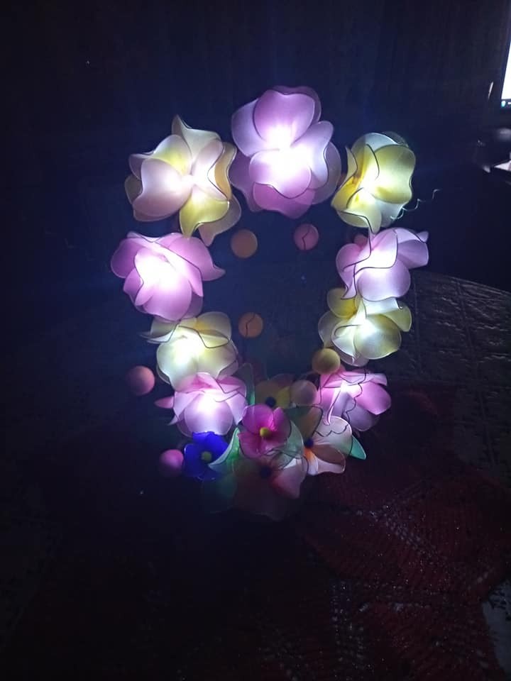 Z ledicami