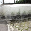 paprike pod kopreno