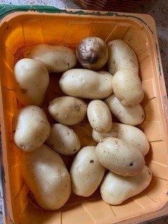 Aroww 2.6. - foto povečava