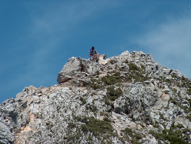 Košutica - foto povečava