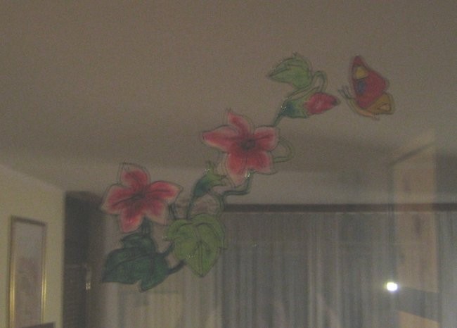 Malce slabši sliki ,metulji in rožice nad vrati v dnevni sobi in spalnici.
