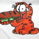 Garfield s sendvičem na majici starejšega sina (sam barval).