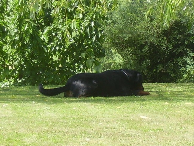 Baya 18 mesecev - foto povečava