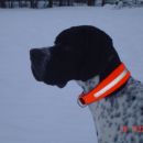 Darth - zima
16.1.2006