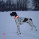 Darth - zima
16.1.2006
