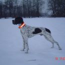Darth - zima
16.1.2006