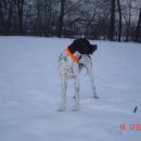 Darth - zima
16.1.2006
