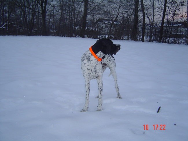 Darth - zima
16.1.2006